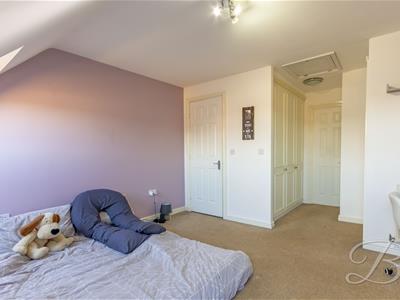 Picture 16